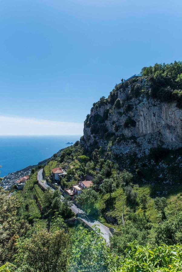 Gioia