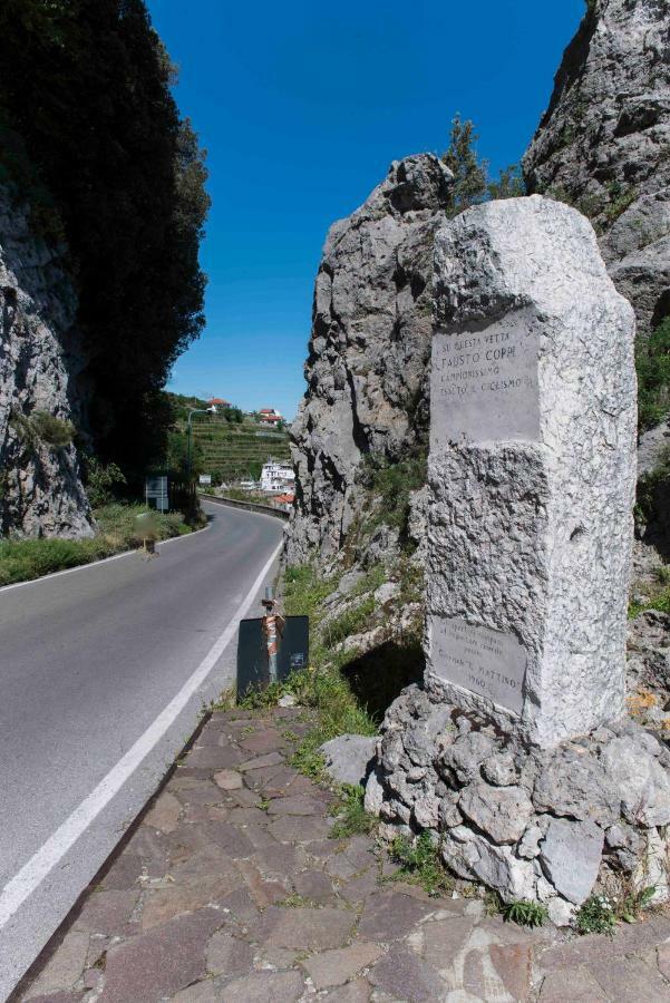Gioia * Furore